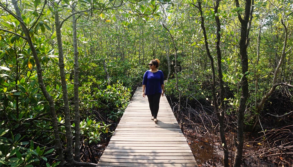 khun krabaen mangrove trail