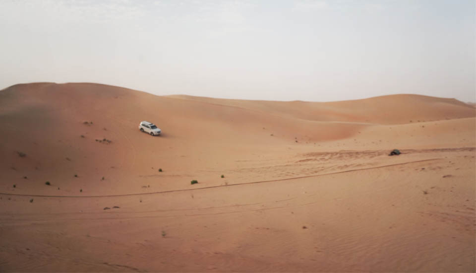 UAE desert safari