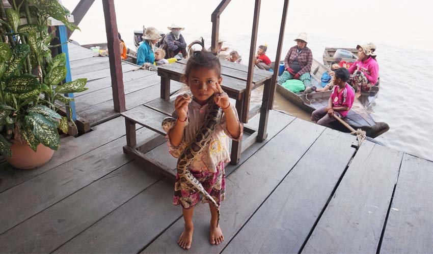 Cambodian girl with snake