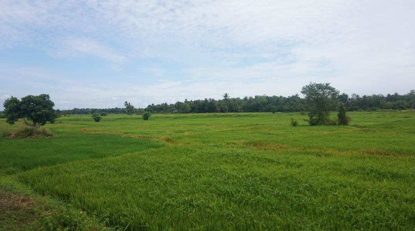 Sri Lanka by train