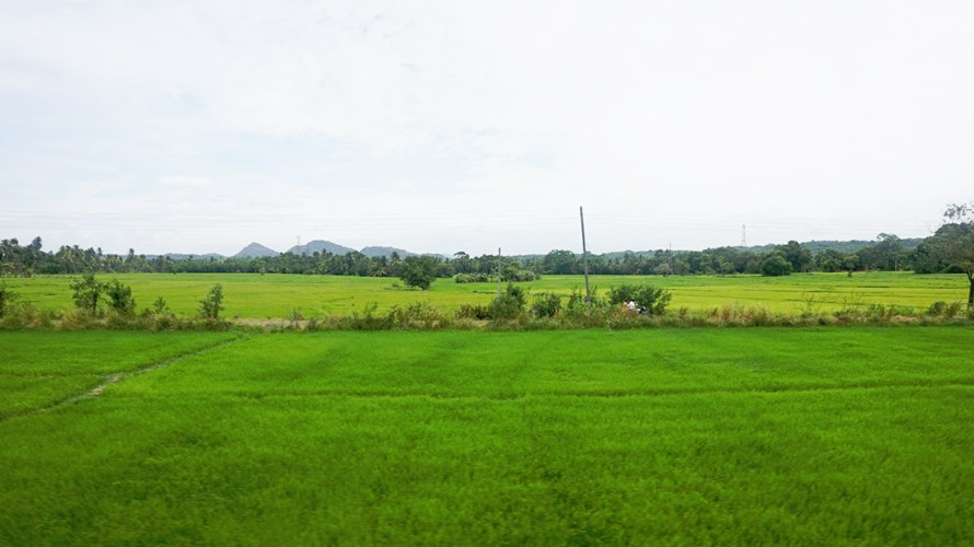 Polonnaruwa