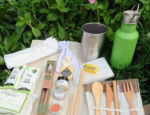 Eco-Friendly Packs for Travel