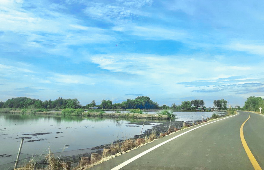 salt farms Nakhon Songkhram