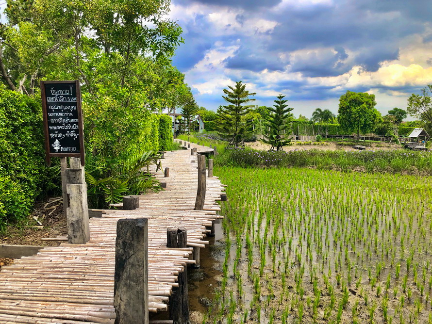 Montreux café and farm view - Nakhon Nayok