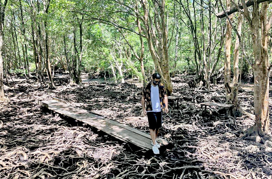 unseen side of Trat - Baan Tha Ranae mangroves